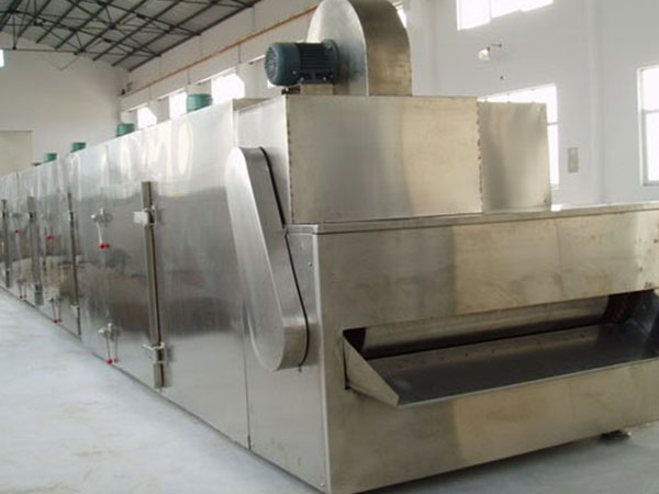 Single layer belt dryer