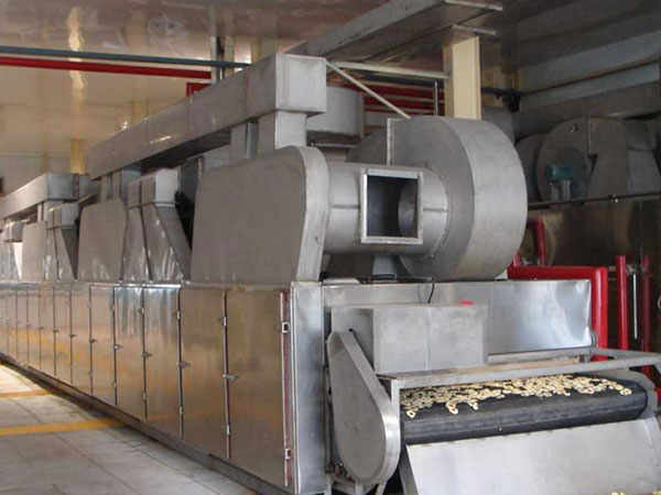 Single layer belt dryer